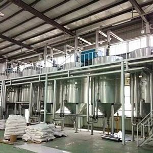 �������a(ch��n)��